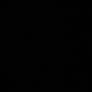 Meet your Posher, Sofia